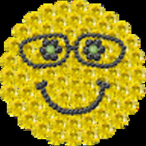 Meet your Posher, Annie